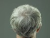 Gray Hair Reversal Possible: The End of Graying Hair?